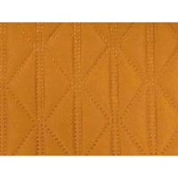 Ultrasonic/Padding Jacket